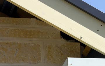 soffit repair Garnsgate